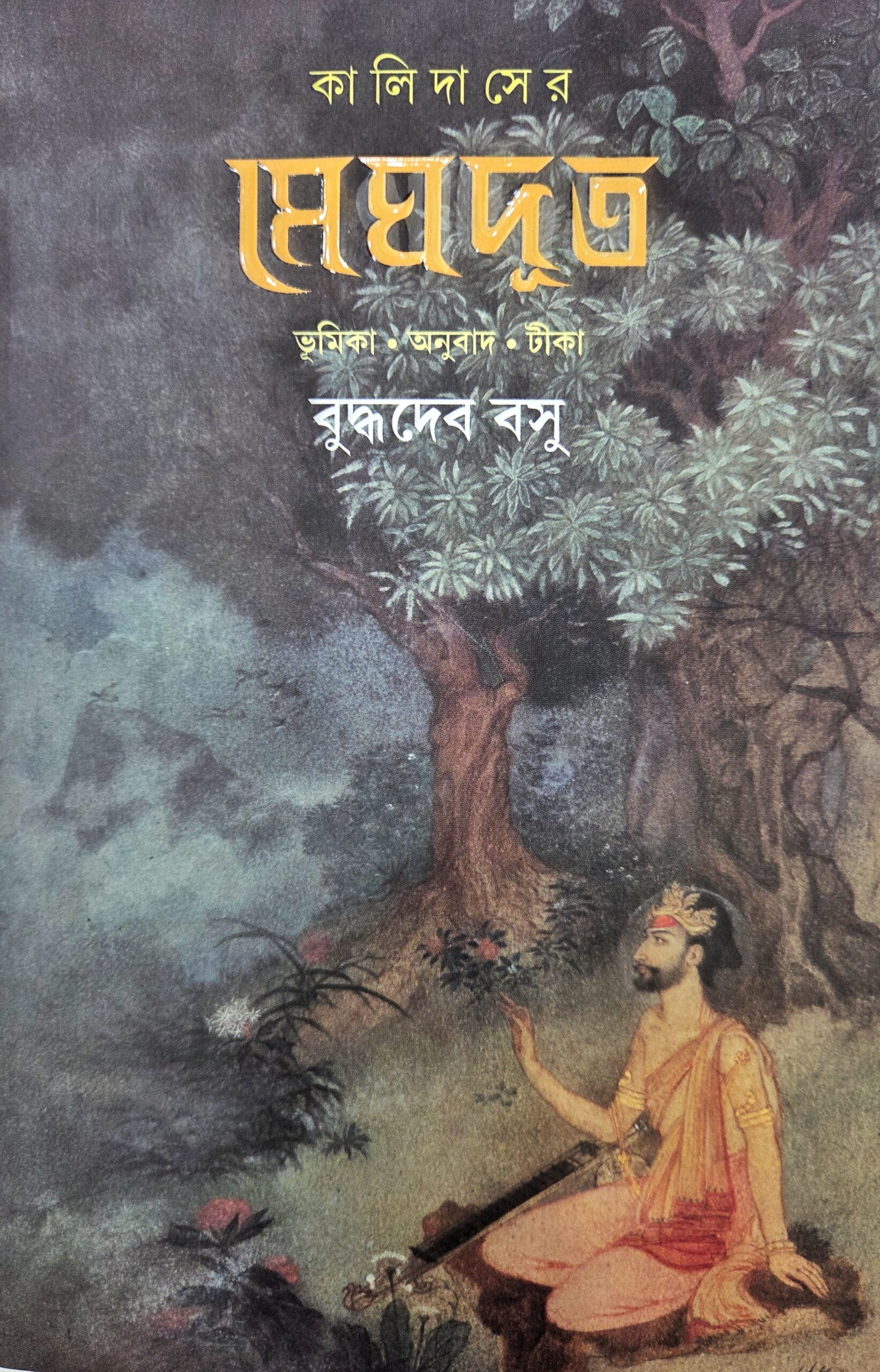 kalidaser meghdut