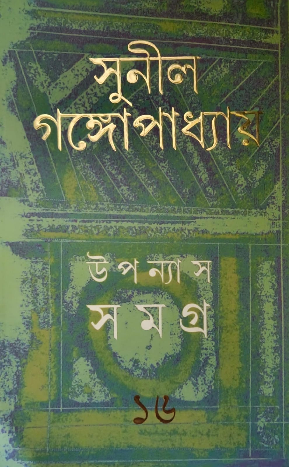 উপন্যাস সমগ্র ১৬ (সুনীল গঙ্গোপাধ্যায়)